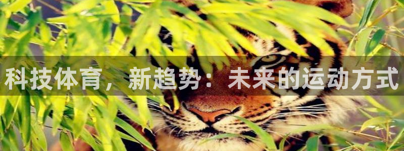 意昂5Kgame官网入口