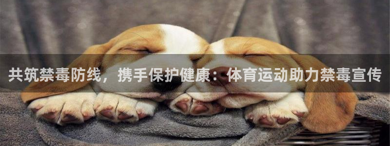 意昂5Kgame体育网页版入口