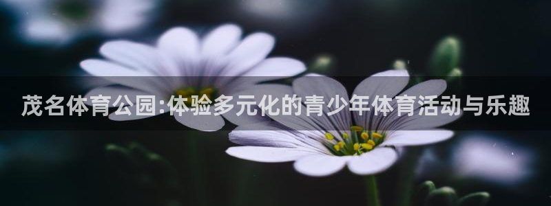 意昂5Kgame股份