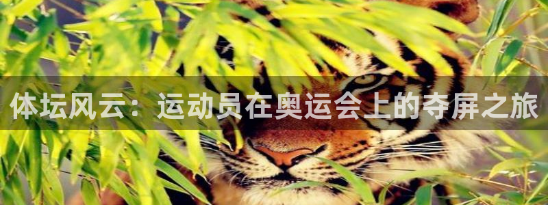 意昂5Kgame2平台注册